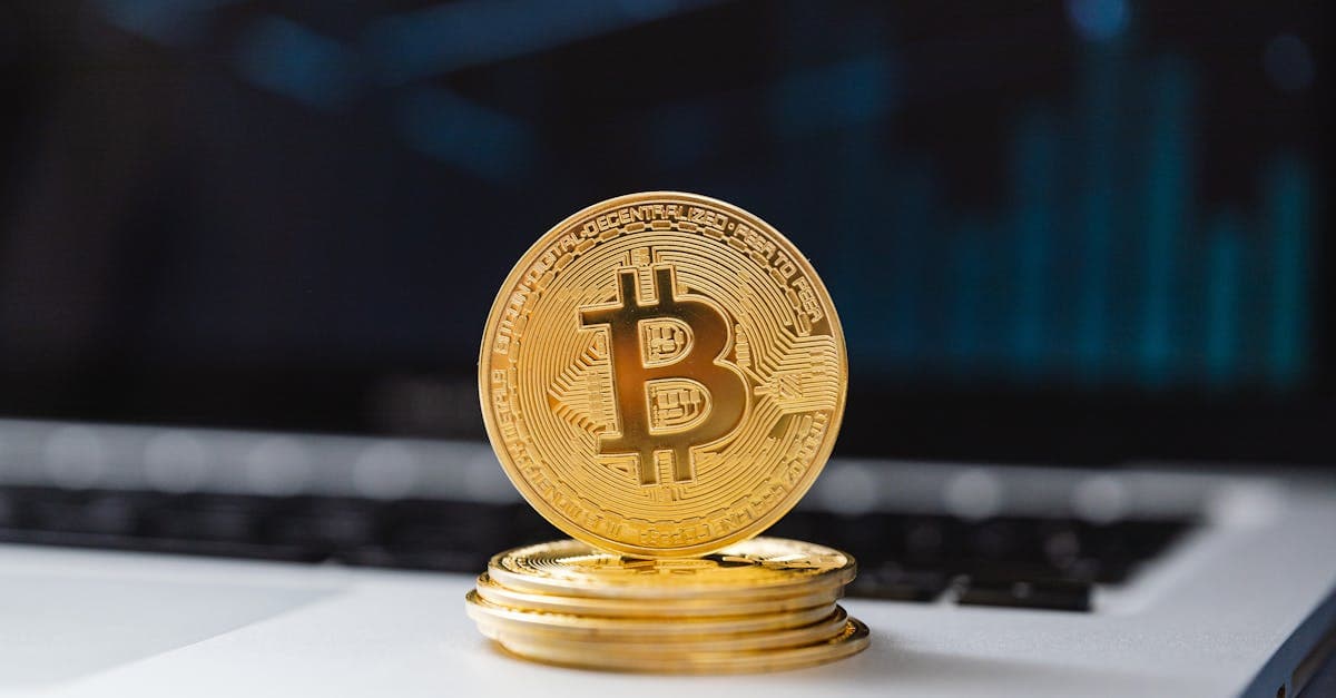 Crypto and Adult Content: Which Blockchain Payment Solutions Actually Work for Creators