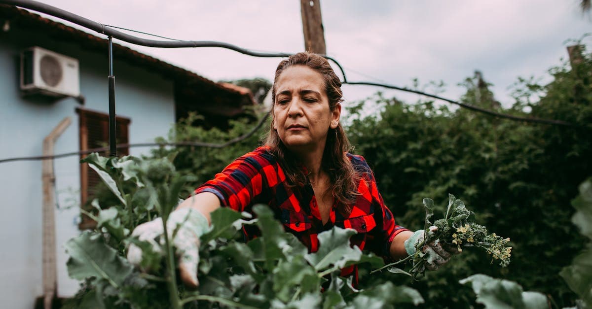 Micro-Communities for Adult Creators: Private Groups, Paid Chats, and