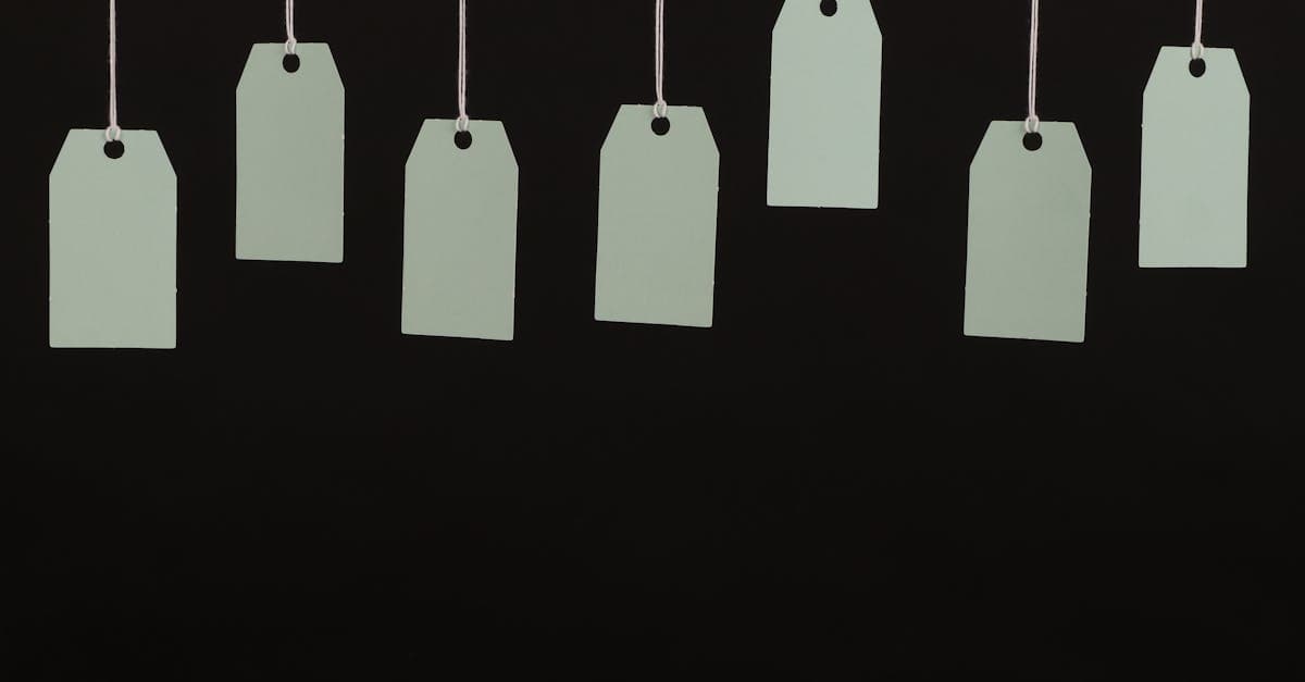 Fansly Discovery Tags Guide: How Tags, Free Followers, and Tier Strategy Work Together