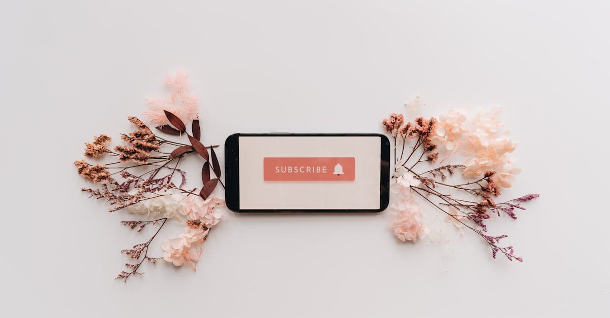 Expired Subscriber Data: What Creators Can Learn From Fans Who Leave