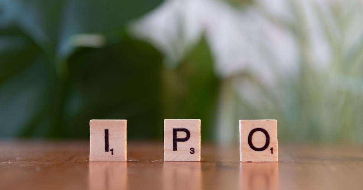 Will OnlyFans IPO? An Analysis of the Financial, Regulatory, and Reputational Barriers