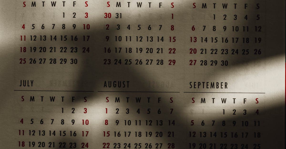 The OnlyFans Revenue Calendar: Which Months Peak, Which Dip, and Why